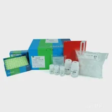 کیت ستونی استخراج DNA از ژل و تخلیص محصول PCR کیت ستونی استخراج DNA از ژل و تخلیص محصول PCR